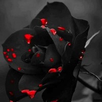 Profile Picture of Alex Pond (@alex-pond-3) on Quora