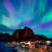 Profile Picture of Rene Clemente (@reclemente74) on Pinterest