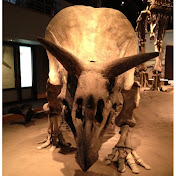 Profile Picture of Kevin Klitzke (@kevinklitzke) on Youtube