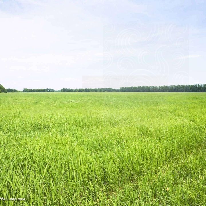 Profile Picture of mcclellanrandall (@mcclellanrandall) on Tiktok