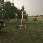 Profile Picture of Tony Lemmones (@tonylemmones) on Instagram