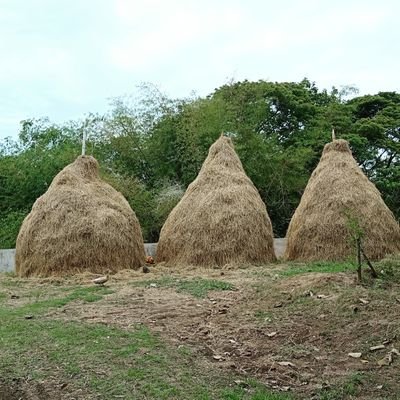 Profile Picture of Bryan Ancheta (@bryanancheta) on Twitter