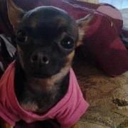 Profile Picture of Jeffra Barnes (@jeffra38) on Pinterest