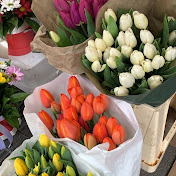 Profile Picture of Abby Lowe (@abbylowe3457) on Youtube