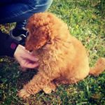 Profile Picture of Amy Bona Puela Chrysi Ytanner (@amy_e_ytaner) on Instagram