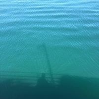 Profile Picture of Cindy Chung (@cindy-chung-20) on Quora