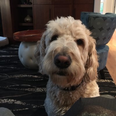 Profile Picture of Jim Perskyon Twitter