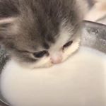 Profile Picture of Aaron Encinas (@aron.line.311) on Instagram