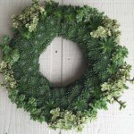 Profile Picture of Howard Savin (@savingardens) on Instagram