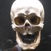 Profile Picture of Jimmy Bitz (@jimmy.bitz.7) on Facebook