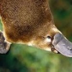 Profile Picture of Lewis Mullicane (@lewistmullicane) on Instagram