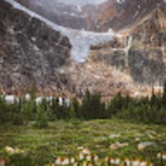 Profile Picture of Martina Robertson (@martinarober822) on Poshmark