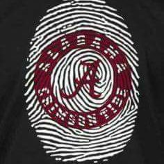 Profile Picture of Stephen Lavender (@StephenLavend10) on Twitter