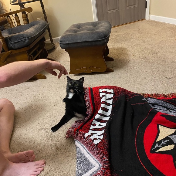 Profile Picture of Kelli Conklin (@kellibowlby) on Poshmark