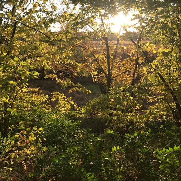 Profile Picture of Lori Kemp (@lodi1966) on Poshmark