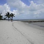 Profile Picture of Lisa Chibbaro Pinillos (@psllisa) on Pinterest