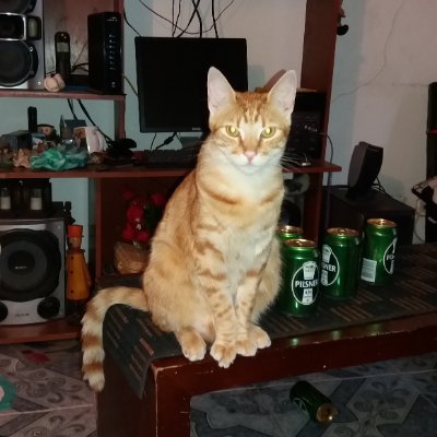 Profile Picture of Rigoberto Macías Prada (@rigoberto_prada) on Twitter