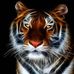 Profile Picture of Petter Gerasimos (@petter.gerasimos.1) on Facebook