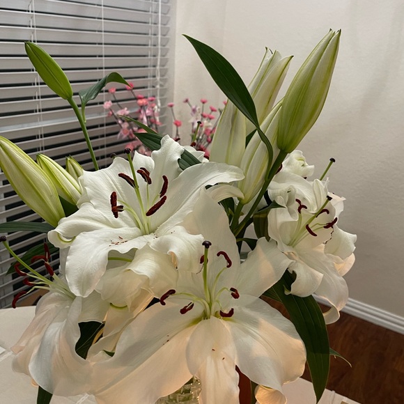 Profile Picture of Nhung Nguyen (@nhungnguyen641) on Poshmark