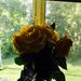 Profile Picture of Danielle Spindler (@mommyof008) on Pinterest