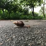 Profile Picture of Koh Chee Kiang Lawrence (@cheekianglawrence.koh.3) on Facebook