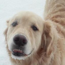 Profile Picture of Rae Avery (@raeavery8283) on Twitter