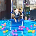 FB: Lisa Buzgo - Instagram Profile Picture of FB: Lisa Buzgo (@lisa_dominik240218) on Instagram