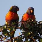 Profile Picture of David Longhi (@davenshaz) on Facebook