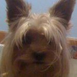 Profile Picture of Randy Newlin (@mrcabling1) on Instagram