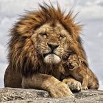 Profile Picture of Bruce J Dotterweich (@brucejdotterweich) on Instagram