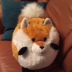 Profile Picture of Ben Fuchs (@benderfuchs17) on Instagram