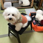 Profile Picture of Robin Zlatko (@jack_n_jill_07) on Instagram