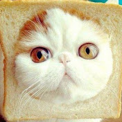 Profile Picture of Cindy Huynh (@cindixp) on Youtube