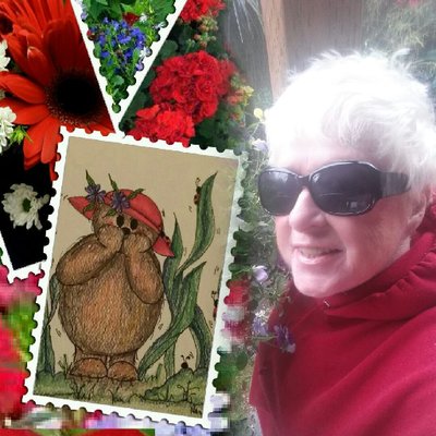 Profile Picture of Nancy E. Gailey (@NancsKids) on Twitter