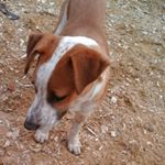 Profile Picture of Armando Arce (@armand133arc3) on Instagram