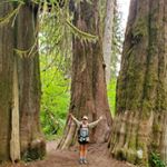 Profile Picture of Amber (@roseandrucksacks) on Instagram