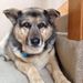 Profile Picture of Paul Edgett (@pgedgett) on Pinterest