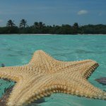 Profile Picture of Francesca (@francescasummertime) on Instagram