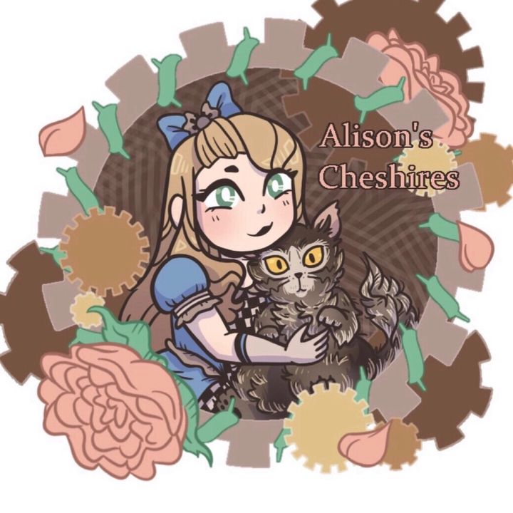 Profile Picture of AlisonsCheshires (@alisonscheshires) on Tiktok