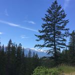 Profile Picture of Jared William Seidlitz (@quantum_phonix) on Instagram