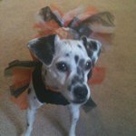 Profile Picture of juliasealy (@juliasealy) on Instagram