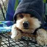 Profile Picture of James Van Winkle (@james.vanwinkle) on Instagram