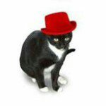 Profile Picture of Toby Douglas (@tobydouglas) on Instagram