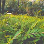 Profile Picture of HESLIN JOSEPH #. # (@bead___sol) on Instagram