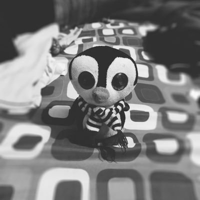 Profile Picture of Alejandro Rosero R. (@AlejoRoseroR) on Twitter