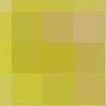 Profile Picture of Steven McGrath (@steven_mcgrathmx) on Instagram