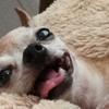 Profile Picture of Jessica Engstrom (@@jessica.engstrom) on Tiktok