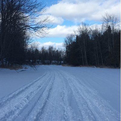 Profile Picture of Alex Naser (@alex_naser11) on Twitter