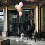 Profile Picture of Zachary Baum (@zachybaum) on Instagram