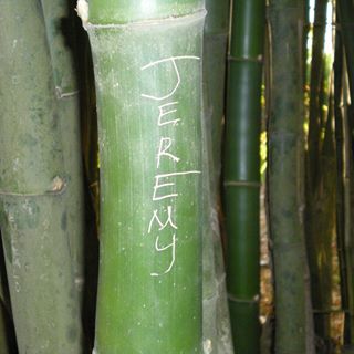 Profile Picture of Jeremy Koob (@jeremy.koob) on Facebook